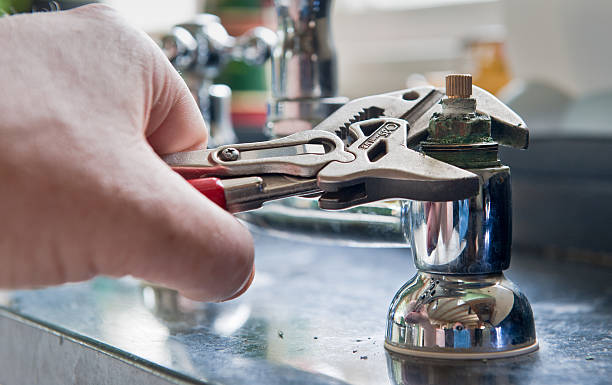 Best Mold removal after water damage  in Pineville, KY