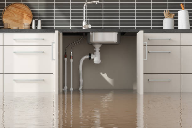 Best Ceiling water damage repair  in Pineville, KY